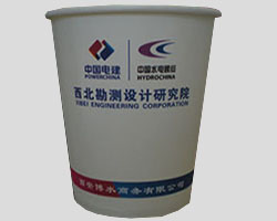 中国水电纸杯